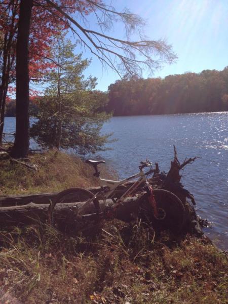 A mountain bike rests against a fallen log on the edge of a serene lake, surrounded by trees. The scene is illuminated by bright sunlight, highlighting the vibrant autumn foliage in the background. The water reflects the clear blue sky, creating a peaceful outdoor setting. Fountainhead Regional Park mountain bike trail.