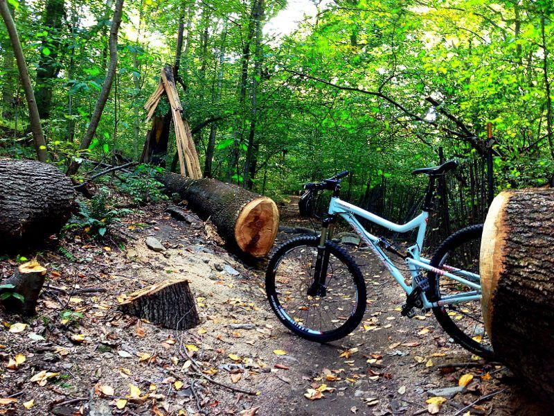 A mountain bike leaning against a fallen tree on a narrow trail surrounded by dense green woods. Two large-cut logs are visible in the foreground, with the forest floor covered in leaves and small rocks, suggesting an outdoor biking location with recent tree clearance. Wissahickon Valley Park mountain bike trail.