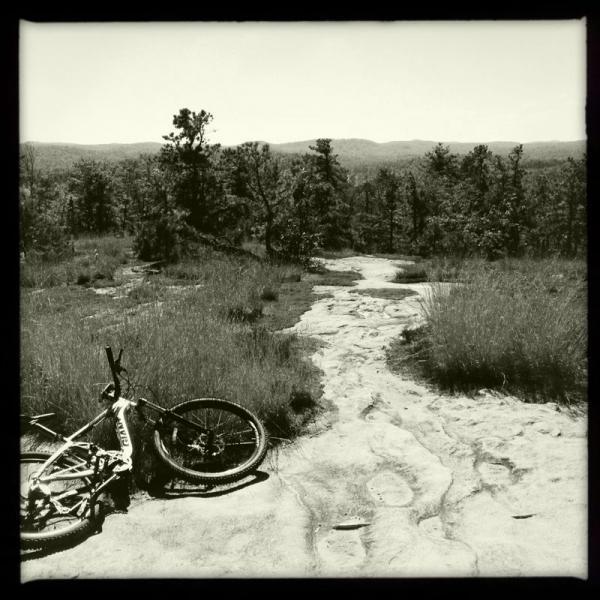 A black and white photo of a mountain bike resting on rocky terrain, with a winding path visible in the background leading through grassy fields and scattered trees. The landscape features rolling hills under a clear sky. DuPont State Forest mountain bike trail.
