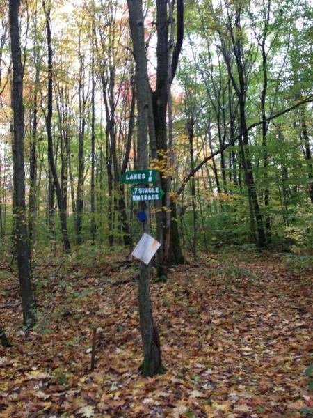 A wooden sign on a tree in a forest, indicating directions to "Lakes" and "Single Entrance," surrounded by colorful autumn foliage and a carpet of fallen leaves. Ellicottville Epic mountain bike trail.