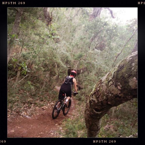 A mountain biker riding on a narrow dirt trail surrounded by dense greenery, with trees and underbrush creating a natural, adventurous setting. The cyclist is wearing a helmet and athletic gear, facing away from the camera as they navigate the winding path. Ft. Clinch State Park mountain bike trail.