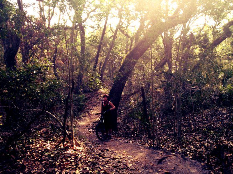 A person standing next to a mountain bike on a dirt path through a lush, wooded area with sunlight filtering through the trees. The ground is covered in leaves, and the atmosphere feels calm and serene. Ft. Clinch State Park mountain bike trail.