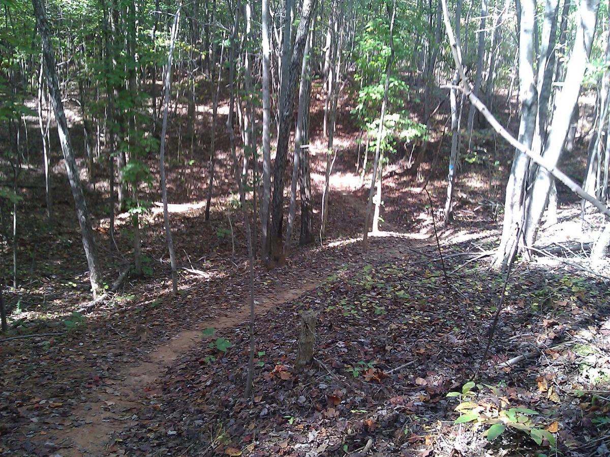 A winding dirt trail surrounded by trees in a forest, with sunlight filtering through the leaves and casting dappled shadows on the ground. The path is covered with fallen leaves, and greenery is visible along the edges. Itusi @ Lake Norman State Park mountain bike trail.