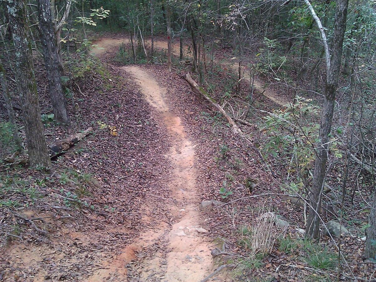 Winding dirt path through a wooded area, surrounded by trees and scattered fallen leaves. The trail curves to the left and right, suggesting a serene outdoor environment. Sherman Branch Park Mtb Trail mountain bike trail.