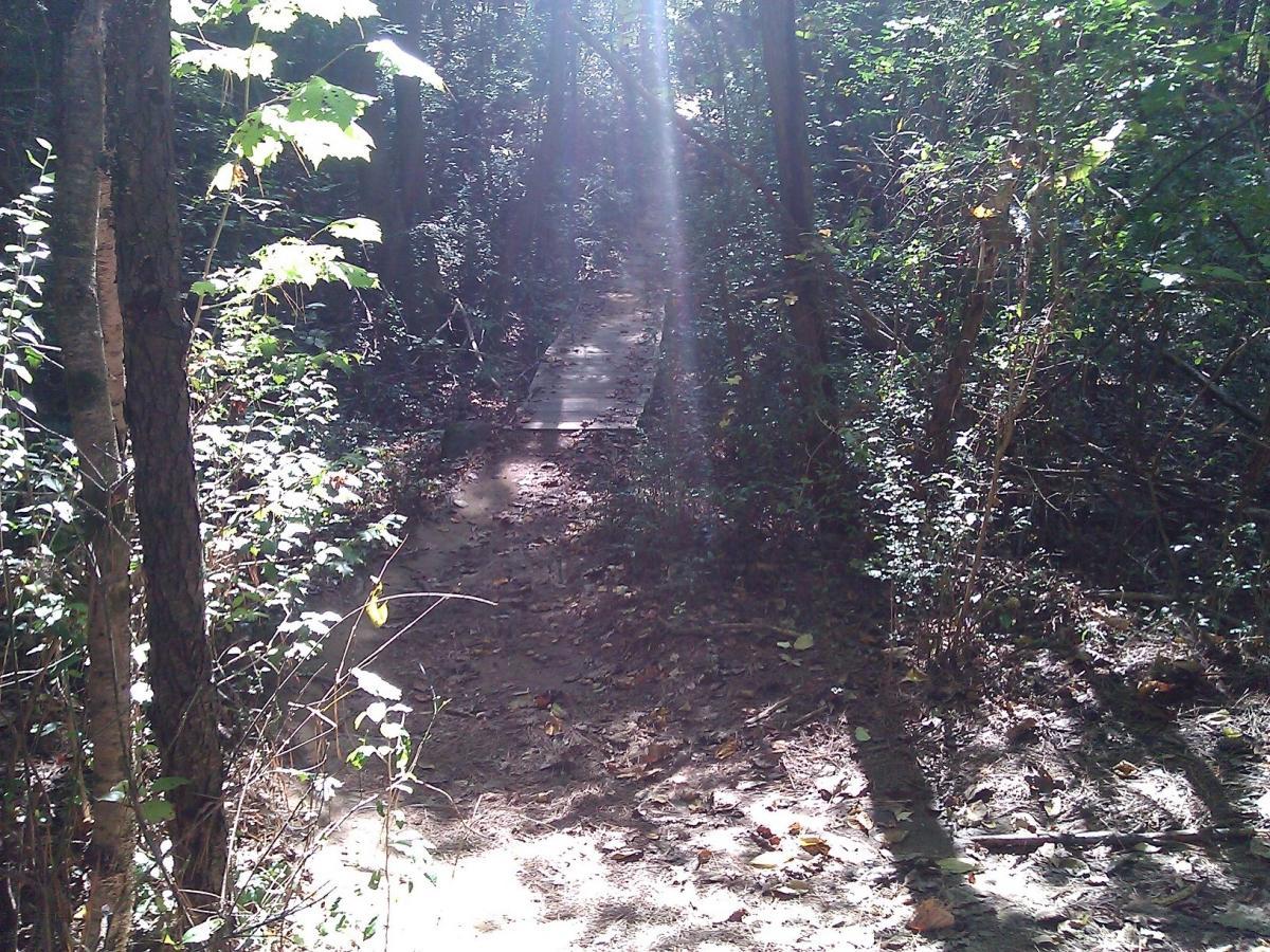 A sunlit path through a dense forest, featuring a wooden bridge leading into the trees. Sunbeams filter through the leaves, casting dappled light on the sandy trail surrounded by greenery. USNWC mountain bike trail.