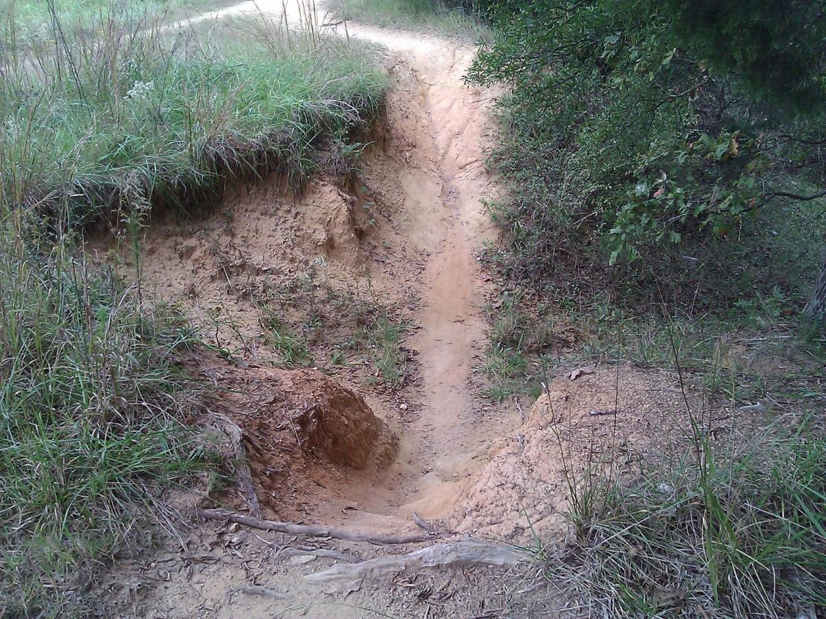 A dirt pathway leading down a sloped embankment, surrounded by grass and foliage. The path is narrow and winding, with visible erosion near the edges, indicating frequent use. The scene is set in a natural outdoor environment, likely a trail in a forest or park. Sherman Branch Park Mtb Trail mountain bike trail.