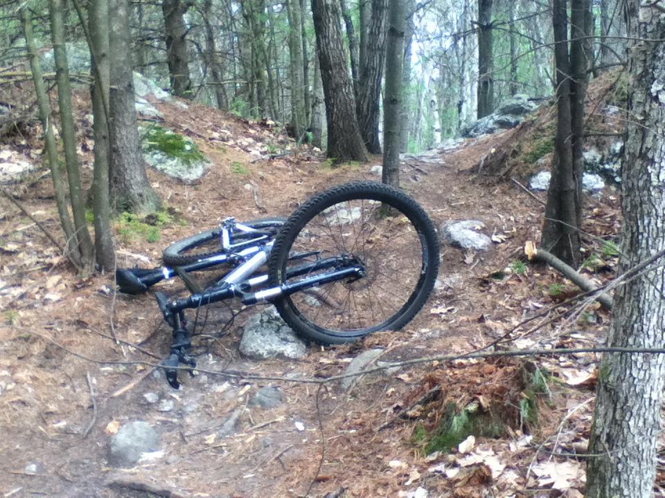 A mountain bike lying on its side on a wooded dirt trail, surrounded by trees and rocks, with fallen leaves scattered on the ground. Musquash Conservation Area mountain bike trail.
