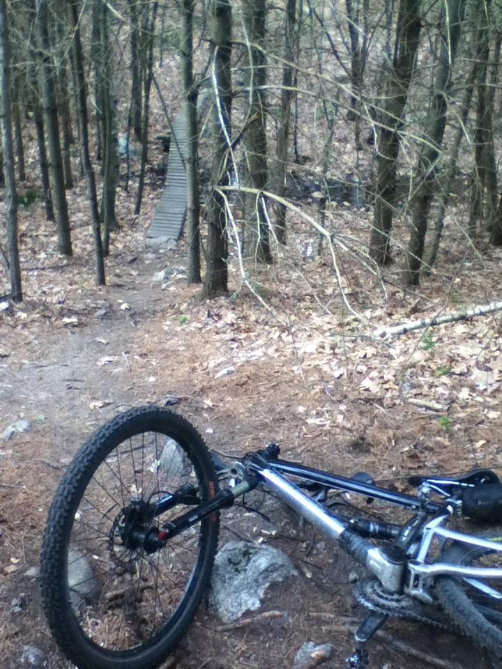 A mountain bike resting on a dirt trail surrounded by trees in a wooded area, with a wooden ramp visible in the background leading over rocks and roots. The ground is covered with fallen leaves and pine needles, creating a natural mountain biking path. Musquash Conservation Area mountain bike trail.