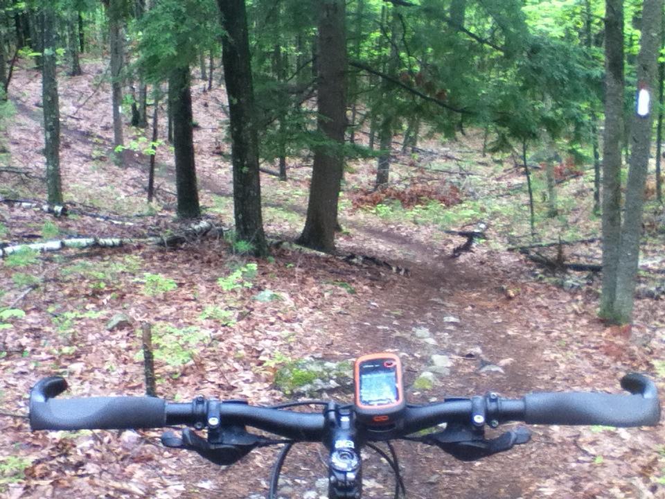 Alt text: A mountain bike's handlebars are in the foreground, with a GPS device mounted, facing a narrow dirt trail winding through a densely wooded forest. The ground is covered in fallen leaves and small rocks, with trees on either side. Musquash Conservation Area mountain bike trail.