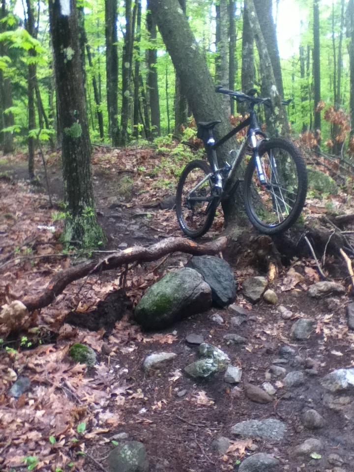 A mountain bike leaning against a tree on a rocky, muddy trail surrounded by lush green foliage in a forest setting. Musquash Conservation Area mountain bike trail.
