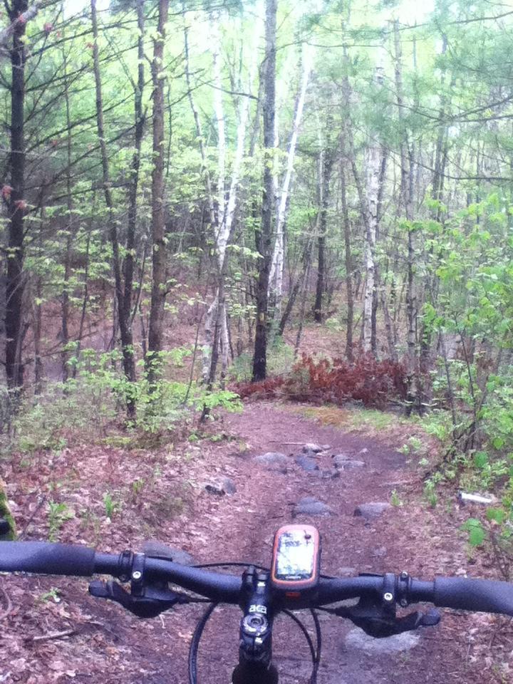Alt text: "View from the handlebars of a mountain bike on a dirt trail surrounded by trees, with rocks visible on the path and a soft green foliage in the background." Musquash Conservation Area mountain bike trail.