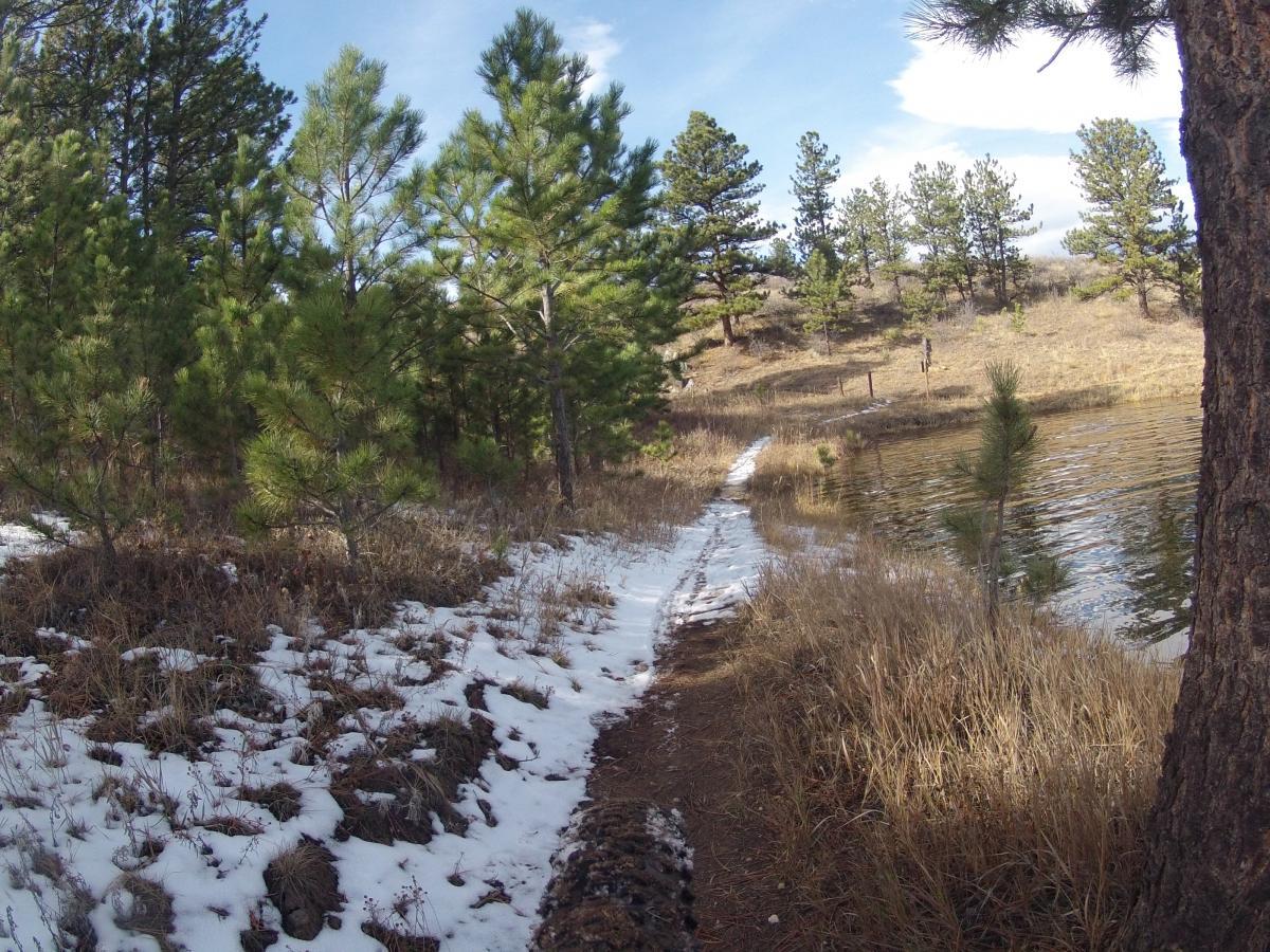 A scenic view of a wooded trail beside a calm body of water, with patches of snow and dry grass lining the path. Pine trees are visible on both sides, and a hillside rises in the background under a partly cloudy sky. Pinewood Reservoir mountain bike trail.