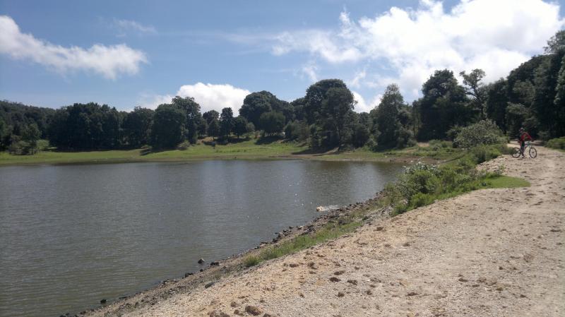 A serene landscape featuring a calm lake surrounded by greenery, with a sandy path along the shore. In the background, lush trees provide shade, and a cyclist is seen riding near the water’s edge under a clear blue sky with some clouds. Lagunas - Columpios S's mountain bike trail.