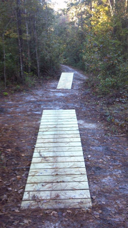 Two wooden planks are laid out along a dirt trail in a forest. The path is surrounded by trees and underbrush, indicating a natural setting. The ground is covered with fallen leaves, and the sunlight filters through the foliage, creating a serene atmosphere. Brunswick Nature Park mountain bike trail.