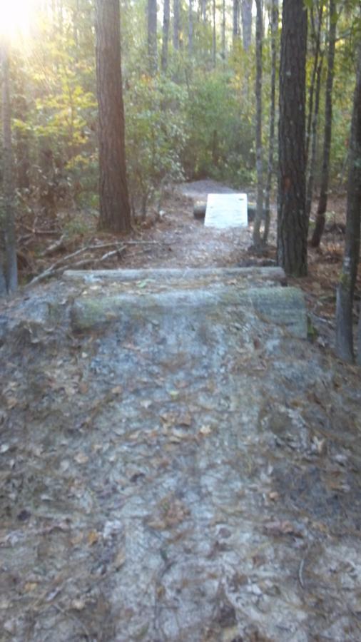 A sunlit forest path with a dirt ramp made from logs leading to a flat wooden platform in the distance. The ground is covered in fallen leaves, and tall trees line the sides of the trail, creating a serene outdoor setting. Brunswick Nature Park mountain bike trail.