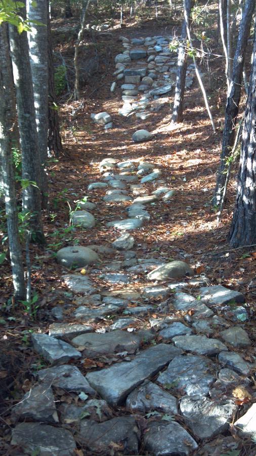 A winding stone pathway through a forested area, lined with rocks and surrounded by trees. The path is partially covered with fallen leaves, leading up a gentle incline. Brunswick Nature Park mountain bike trail.