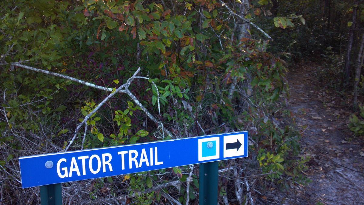 A blue sign with the text "GATOR TRAIL" indicating a pathway through a wooded area, with overgrown vegetation and a dirt path visible to the right. Brunswick Nature Park mountain bike trail.