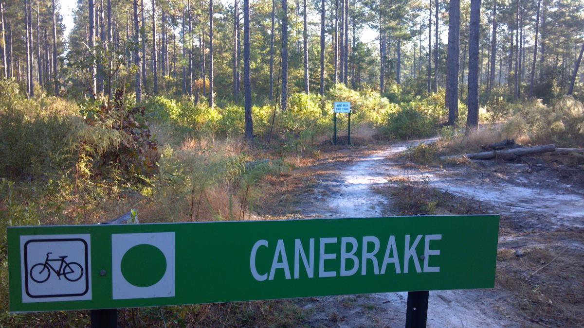 A green trail sign marked "CANEBRAKE" with a bicycle symbol, indicating a biking path. In the background, a narrow dirt trail leads into a wooded area surrounded by tall pine trees and lush greenery. A secondary sign in the distance reads "ONE WAY BIKE TRAIL." Brunswick Nature Park mountain bike trail.