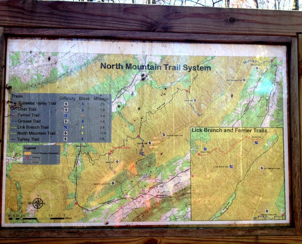 Map of the North Mountain Trail System, showing various trails, their difficulty levels, blazes, and mileages. Key trails include Catawba Valley Trail, Deer Trail, Ferrier Trail, Grouse Trail, Lick Branch Trail, North Mountain Trail, and Turkey Trail. A section labeled "You Are Here" indicates the viewer's location within the trail system. The map features a legend for trail ownership and a scale for distance reference. Dragon's Back mountain bike trail.