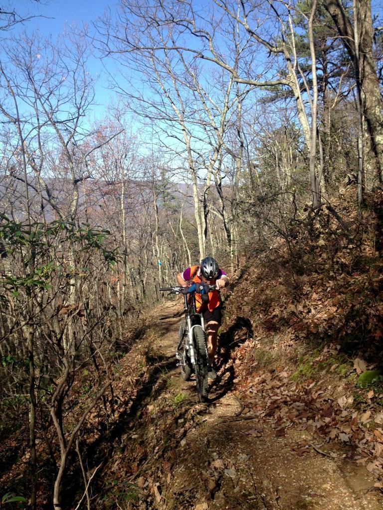 A person wearing a helmet and an orange vest pushes a mountain bike uphill on a narrow trail surrounded by bare trees and autumn leaves. The sky is blue and clear, suggesting a sunny day. Dragon's Back mountain bike trail.