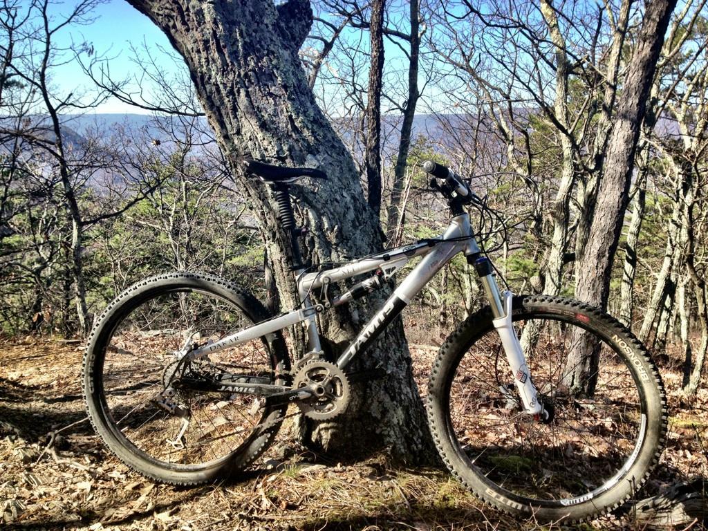 A mountain bike leaning against a tree in a forested area, with bare branches and distant hills visible in the background. The bike has a metallic frame and rugged tires, surrounded by dry leaves and undergrowth on the ground. Dragon's Back mountain bike trail.