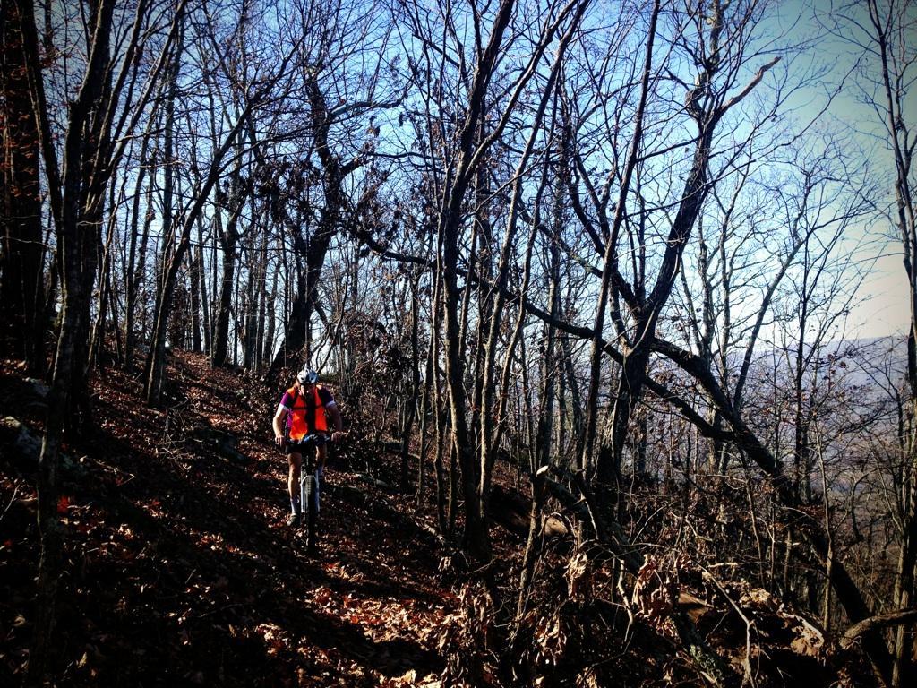 A person wearing a bright orange vest rides a mountain bike along a narrow trail through a wooded area, surrounded by bare trees and fallen leaves under a clear blue sky. Dragon's Back mountain bike trail.