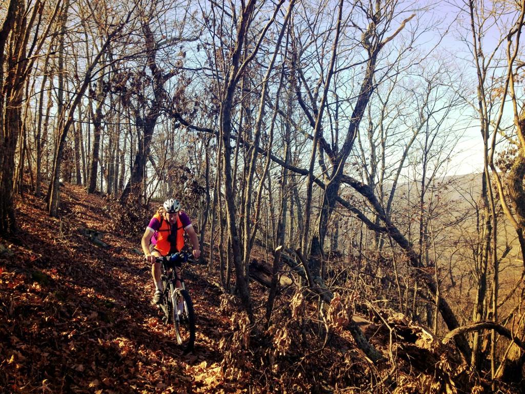 A mountain biker navigates a winding trail through a wooded area, surrounded by bare trees and fallen leaves on the ground. The cyclist is wearing a bright orange vest and a helmet, focused on the path ahead. The scene captures the essence of outdoor adventure in a tranquil, natural setting. Dragon's Back mountain bike trail.
