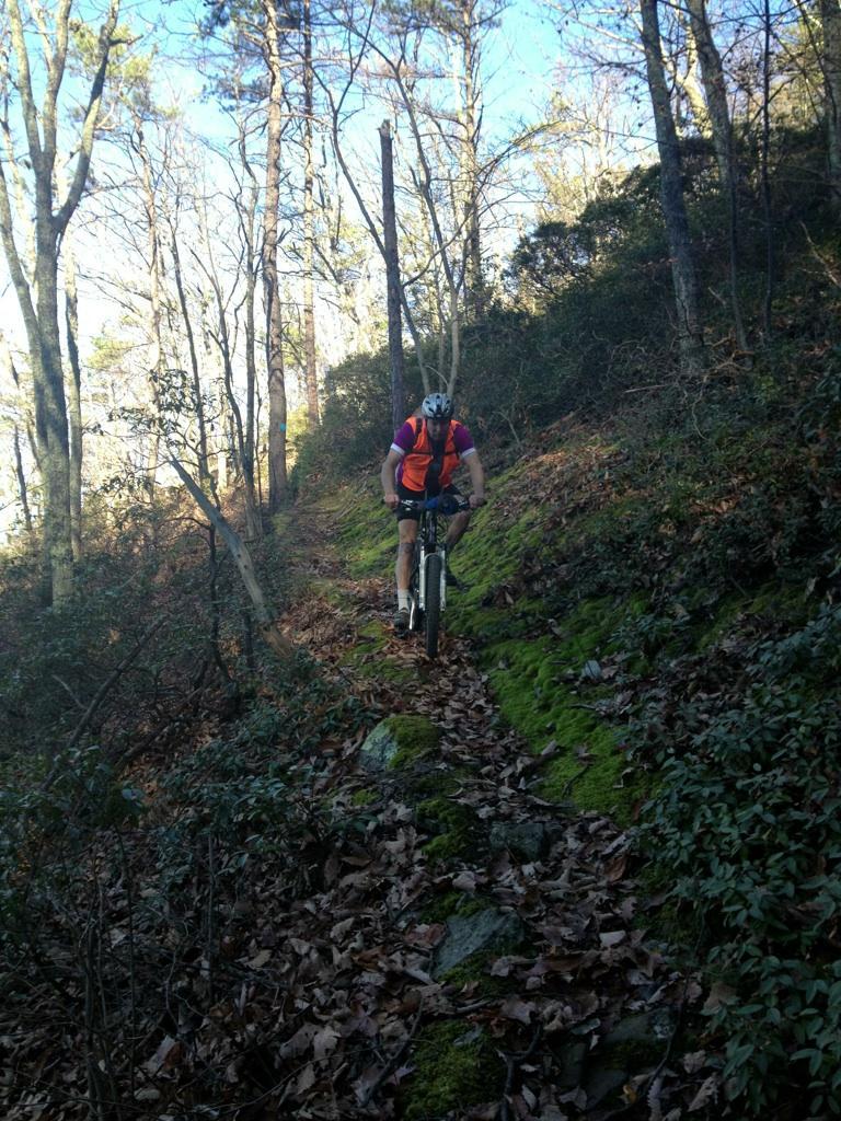 A mountain biker riding on a narrow forest trail surrounded by trees and greenery. The trail is covered in leaves and moss, with rocky patches. The biker is wearing a helmet and a bright orange and purple jersey. Sunlight filters through the tree branches, creating a dappled light effect on the ground. Dragon's Back mountain bike trail.