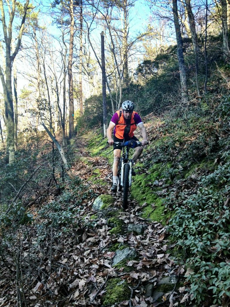 A mountain biker navigating a narrow, rocky trail through a forest, surrounded by trees and greenery. The rider is wearing a helmet and an orange vest, focused on the path ahead. Fallen leaves and moss cover the ground. Dragon's Back mountain bike trail.