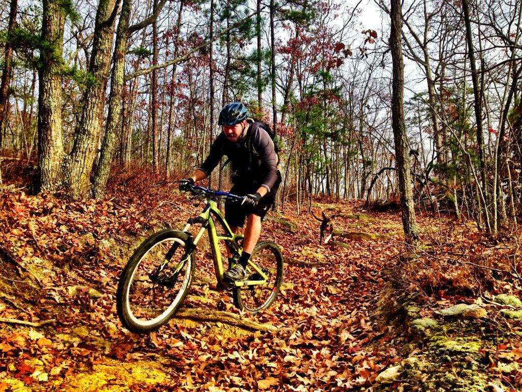A mountain biker riding on a dirt trail surrounded by trees, with autumn leaves scattered on the ground. In the background, a dog is running alongside the biker. Liberty Mountain mountain bike trail.