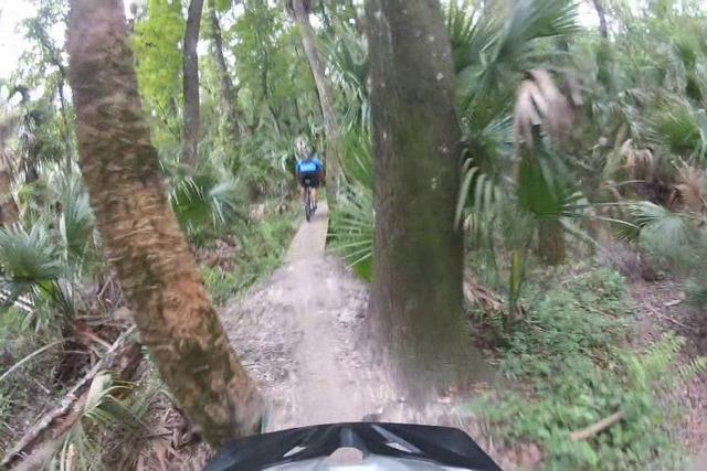A mountain biker navigating a narrow dirt trail through a dense, lush forest, surrounded by tall trees and tropical foliage. The perspective is from the front of the bike, showing part of the helmet and handlebars, enhancing the sense of speed and adventure. Chuck Lennon Park mountain bike trail.