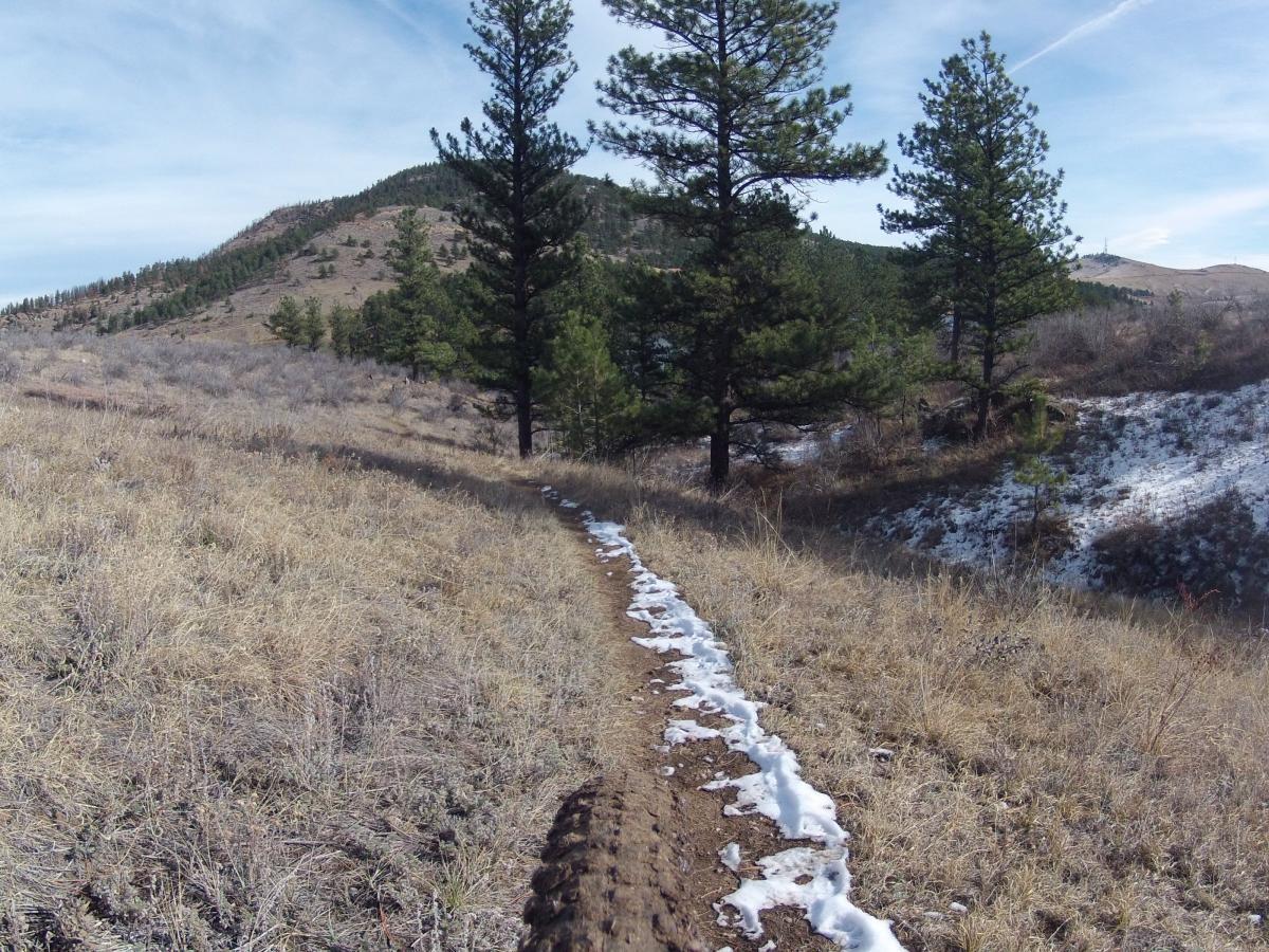 A dirt trail winding through a grassy landscape, flanked by tall pine trees. In the background, a sloping hill is visible, with patches of snow along the trail. The sky is clear with wispy clouds overhead, indicating a sunny day. Pinewood Reservoir mountain bike trail.