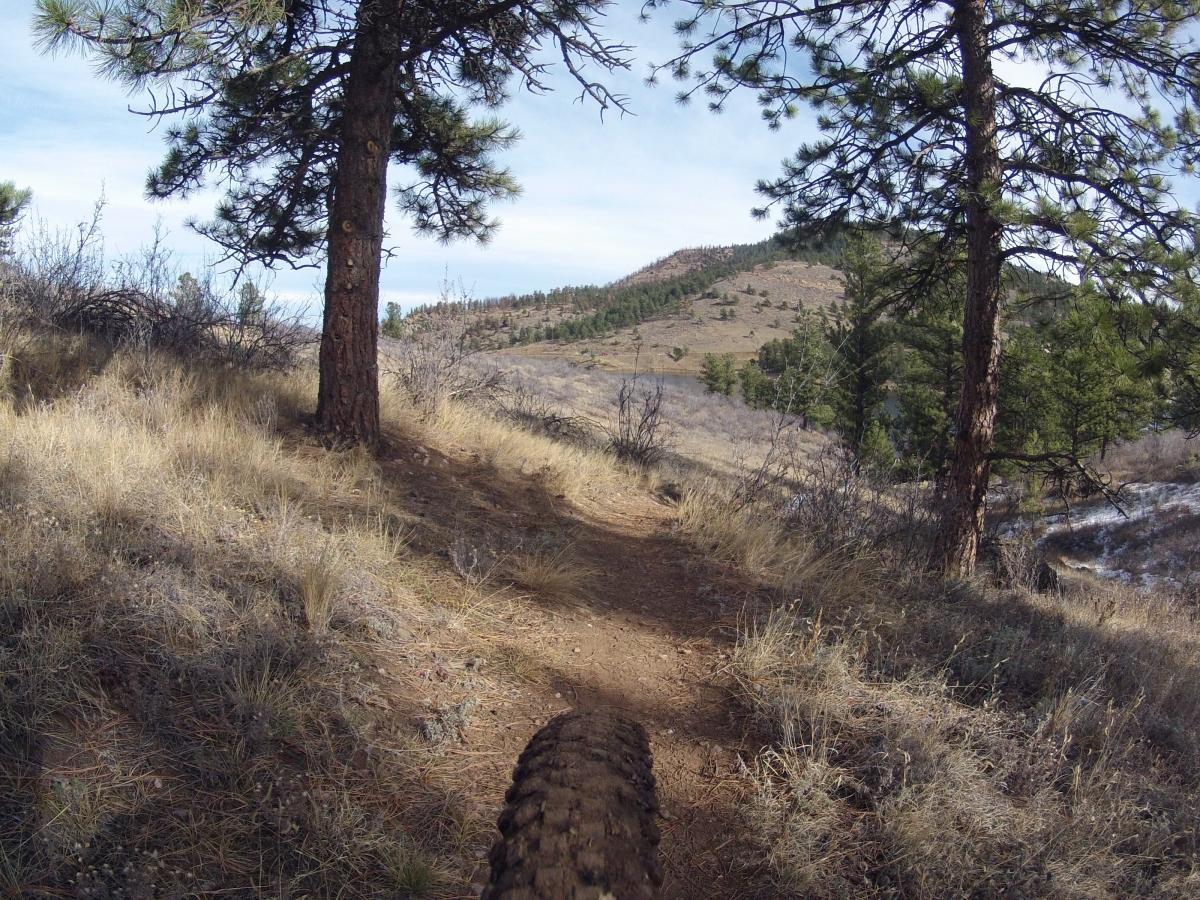 A dirt bike trail winding through a forested area, surrounded by tall pine trees and dry grass, with a mountainous landscape in the background under a clear sky. The view is slightly angled, showing the trail and a portion of a bike wheel in the foreground. Pinewood Reservoir mountain bike trail.