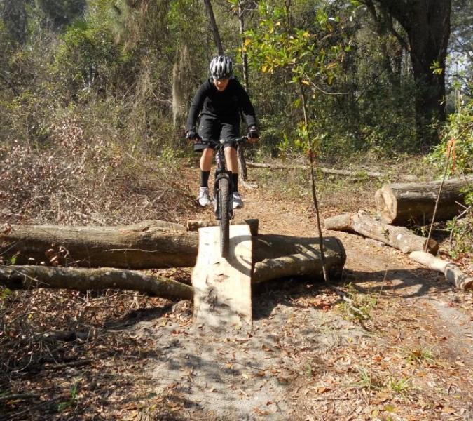A mountain biker in a black outfit rides over a wooden ramp set between fallen logs in a forested area. Chuck Lennon Park mountain bike trail.