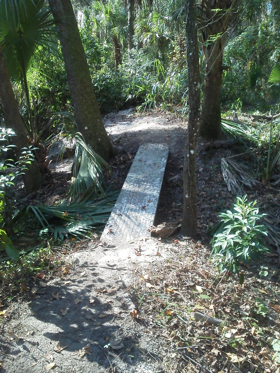 A narrow, weathered wooden footbridge connecting two pathways in a lush, green forested area. Surrounding vegetation includes palm trees and underbrush, highlighting the natural wilderness environment. Sunlight filters through the trees, casting dappled shadows on the ground. Chuck Lennon Park mountain bike trail.