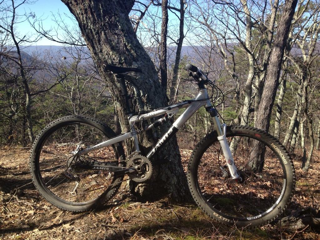Jamis Dakar XLT: A mountain bike leaning against a tree on a forest trail, surrounded by bare branches and a view of distant hills under a clear blue sky. The bike is silver with black accents and features rugged tires suitable for off-road riding.