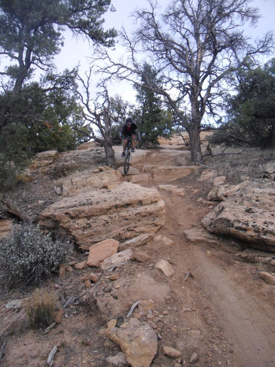 A mountain biker navigating a rocky trail surrounded by sparse trees and shrubs, with steep terrain and scattered rocks in a natural landscape. Gooseberry Mesa mountain bike trail.