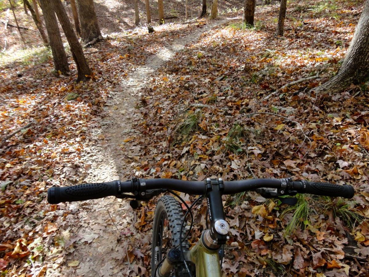 A view from the handlebars of a mountain bike on a leaf-covered trail winding through a wooded area with trees in the background. Uwharrie NF: Wood Run, Supertree And Keyauwee mountain bike trail.
