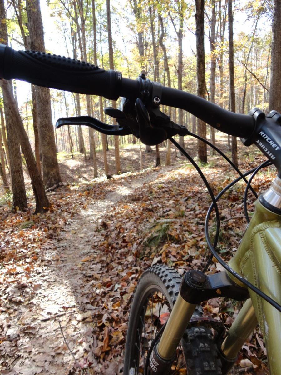Mountain bike handlebars and front wheel, with a winding dirt trail covered in autumn leaves in a forested area. Sunlight filters through the trees, highlighting the vibrant fall colors. Uwharrie NF: Wood Run, Supertree And Keyauwee mountain bike trail.