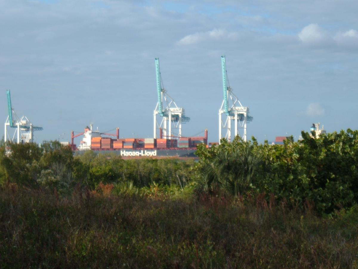 A view of a shipping dock with large cranes on the left, overlooking a cargo ship with colorful containers. Lush greenery is visible in the foreground, with a partly cloudy sky in the background. Virginia Key North Point mountain bike trail.