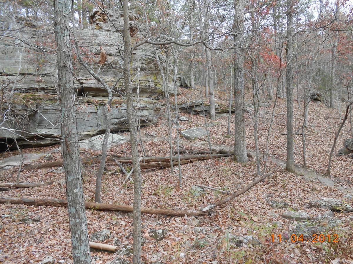 A forested landscape featuring bare trees with fallen leaves covering the ground. Rocky outcrops are visible among the trees, and some fallen branches are scattered throughout the scene. The image reflects the onset of autumn with hints of dried foliage and a natural, rugged terrain. Forest City Trail mountain bike trail.