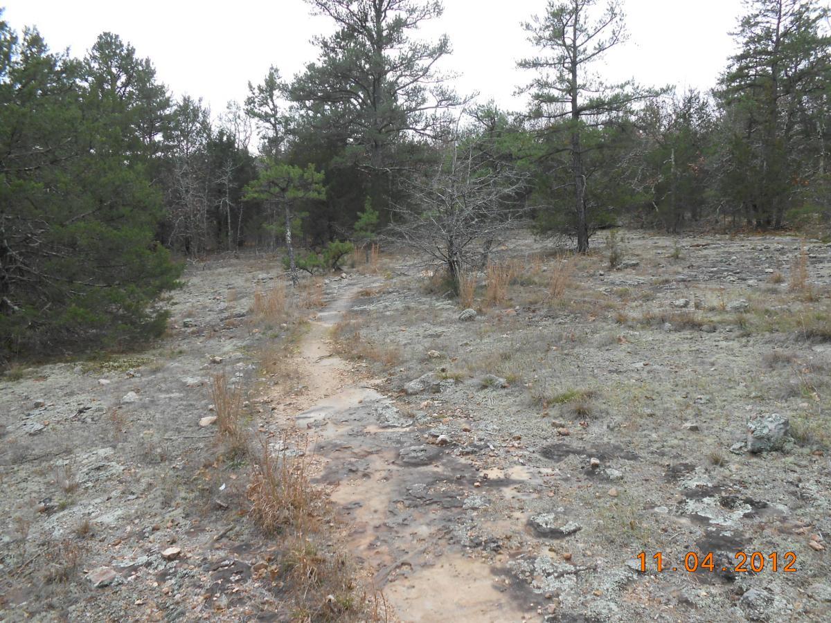 A narrow dirt path winds through a rocky landscape dotted with patches of grass and sparse vegetation, bordered by tall pine trees. The sky is overcast, creating a muted, natural atmosphere. The image is dated November 4, 2012. Forest City Trail mountain bike trail.