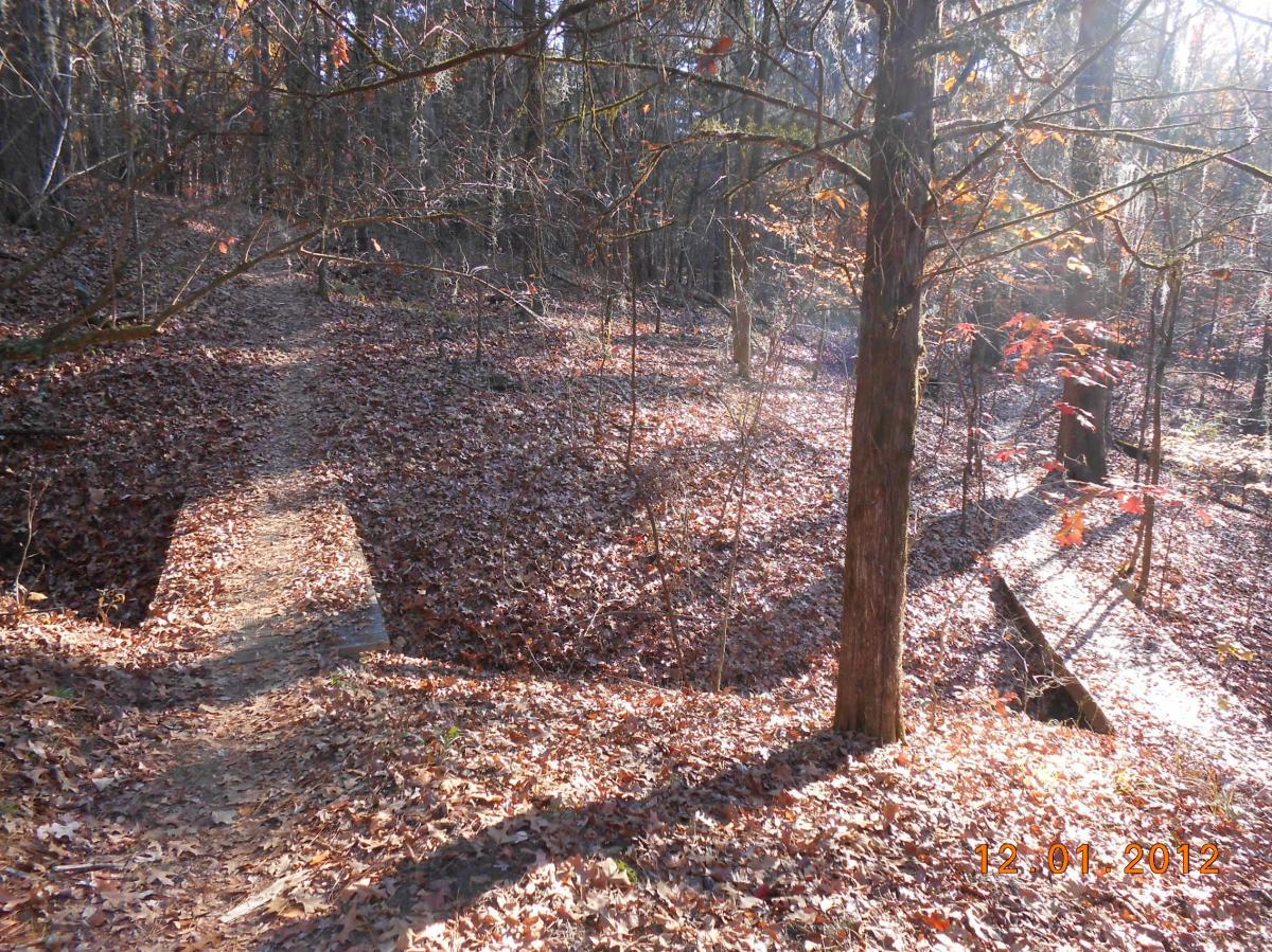 A sunlit forest trail covered with fallen leaves, surrounded by trees in late autumn. The path winds gently through the woods, with a small wooden bridge visible in the distance. Sunlight filters through the branches, creating a warm, inviting atmosphere. The Ridgeland Trails mountain bike trail.