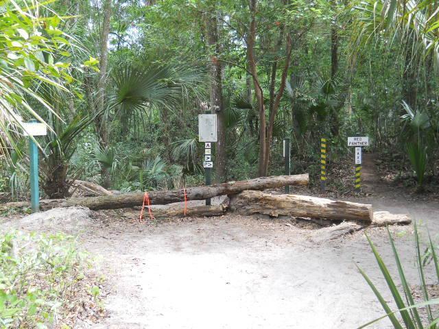 A wooded trail entrance blocked by fallen logs, with signs indicating nearby paths. Lush green vegetation surrounds the area, including palm trees and dense underbrush. Two distinct signs can be seen on either side of the trail, one marking a designated path and the other indicating a restricted area. Chuck Lennon Park mountain bike trail.