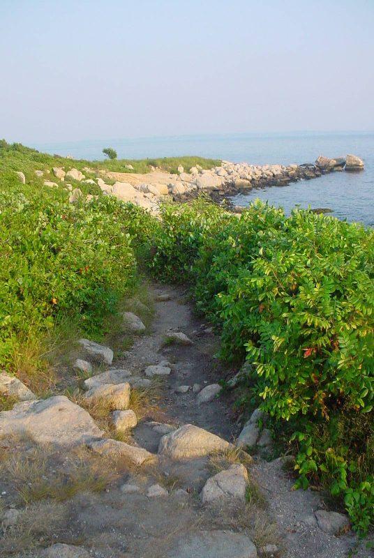 A scenic coastal path lined with lush greenery and rocks, leading toward the water. A rocky jetty extends into the calm sea under a clear sky. The natural surroundings create a tranquil atmosphere. Bluff Point State Park mountain bike trail.