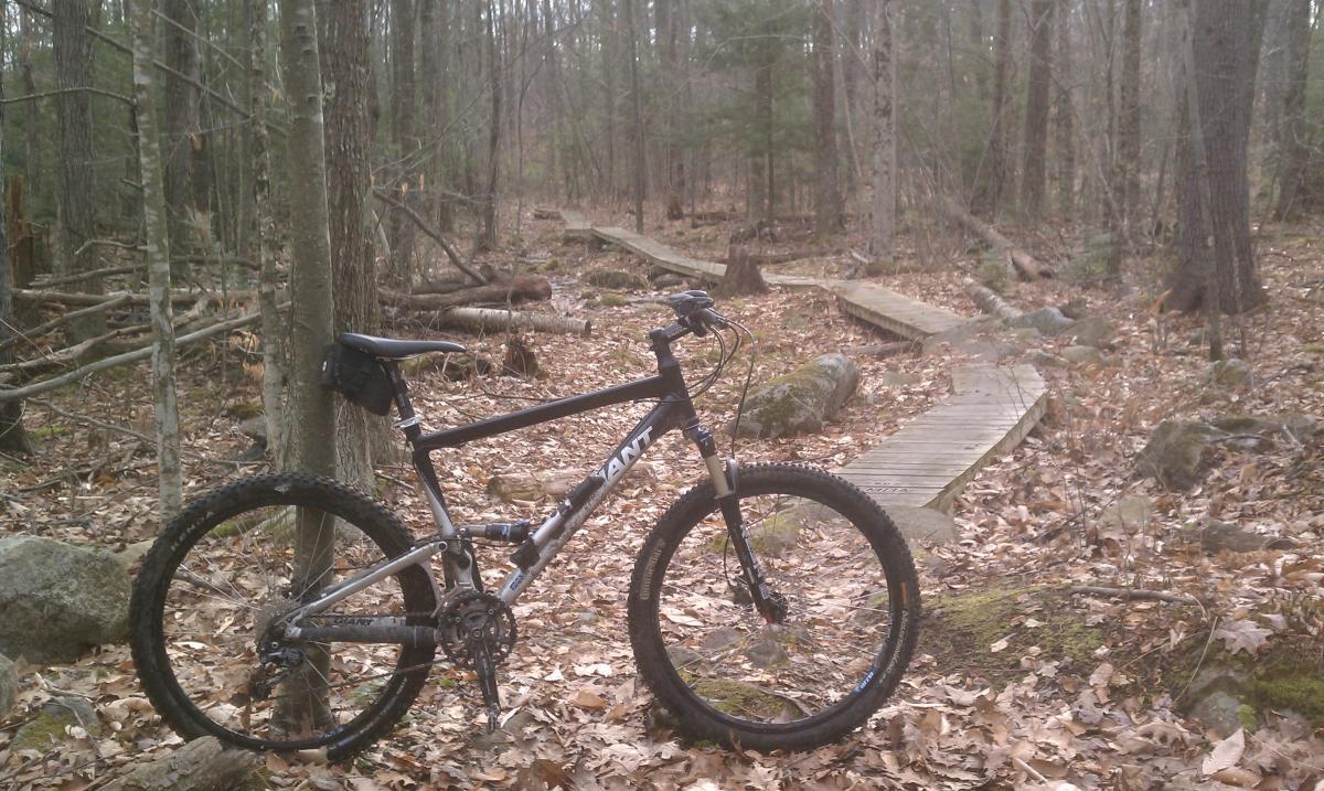A mountain bike leaning against a tree in a forest, with wooden planks visible in the background, surrounded by autumn leaves and tree trunks. Bear Brook mountain bike trail.