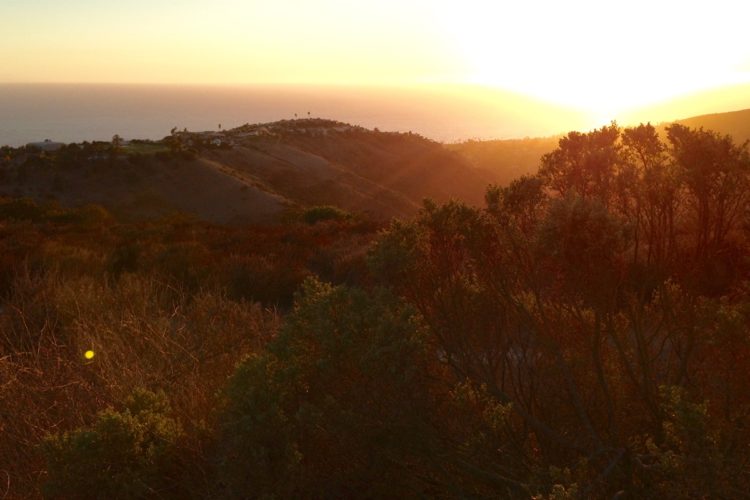 A scenic view of a sunset over a hillside, with the sun casting golden hues across the landscape. In the foreground, lush greenery and sparse bushes frame the scene, while the horizon features the distant ocean and silhouettes of hills. The sky transitions from orange to deep blue, creating a tranquil and picturesque atmosphere.