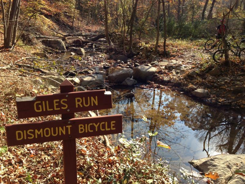 A wooden signpost indicating "Giles Run" and "Dismount Bicycle," positioned near a small stream surrounded by autumn foliage. The reflection of trees is visible in the water, and a few rocks are scattered along the bank. In the background, a cyclist can be seen on a nearby trail. Laurel Hill Park mountain bike trail.