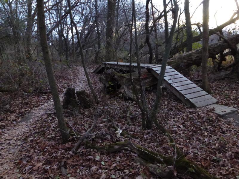 A wooden bridge spanning over a fallen log, surrounded by bare trees and scattered autumn leaves on the forest floor. A dirt path curves to the left, leading into the wooded area. The scene is dimly lit, suggesting late afternoon or early evening. Camrock 3 mountain bike trail.