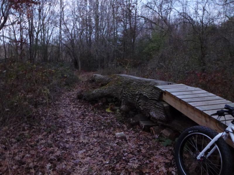 A wooden bridge crosses over a fallen tree trunk along a forest path covered with autumn leaves. A bicycle is parked nearby in the foreground, surrounded by trees and underbrush in a dimly lit setting, suggesting early evening or twilight. Camrock 3 mountain bike trail.